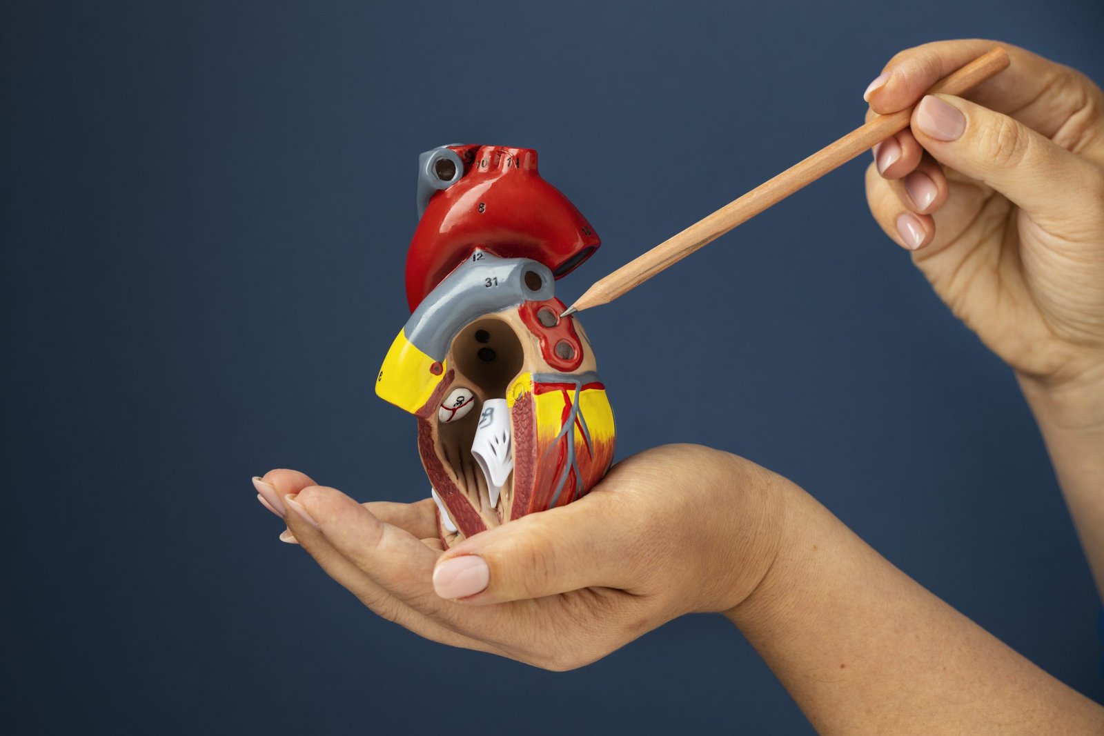 best hospital for open heart surgery in india